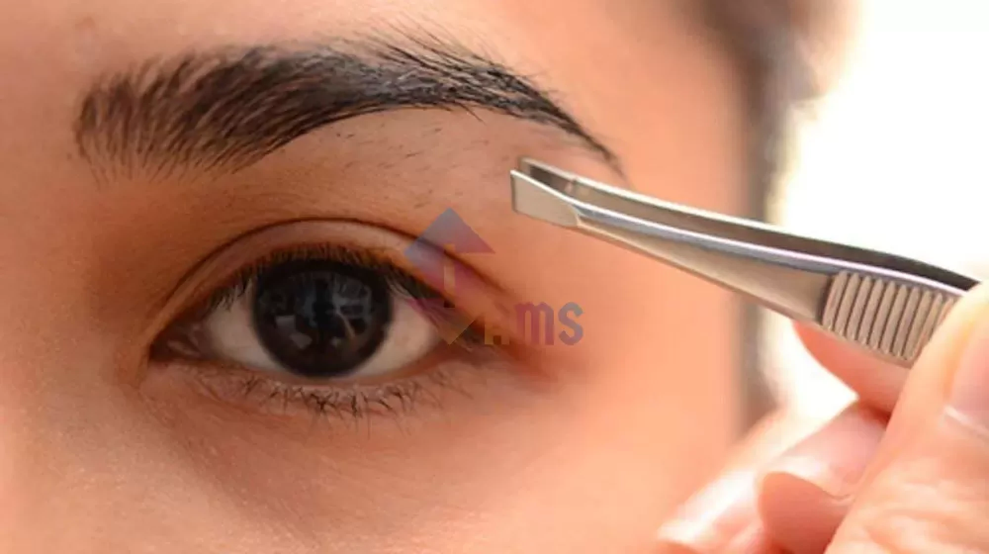 Eyebrow Tweezer3.webp